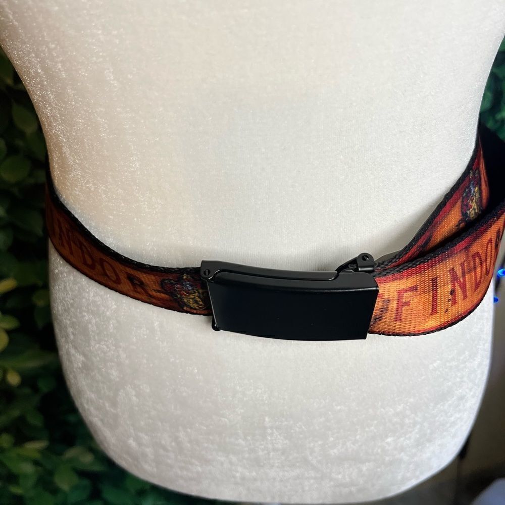 Buckle Down Belt